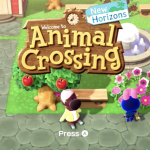 Animal Crossing Lesson