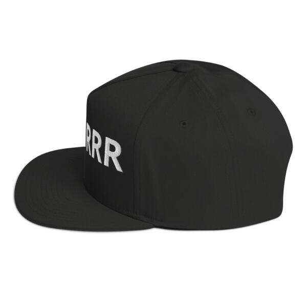 SECURRR Snapback - Image 3