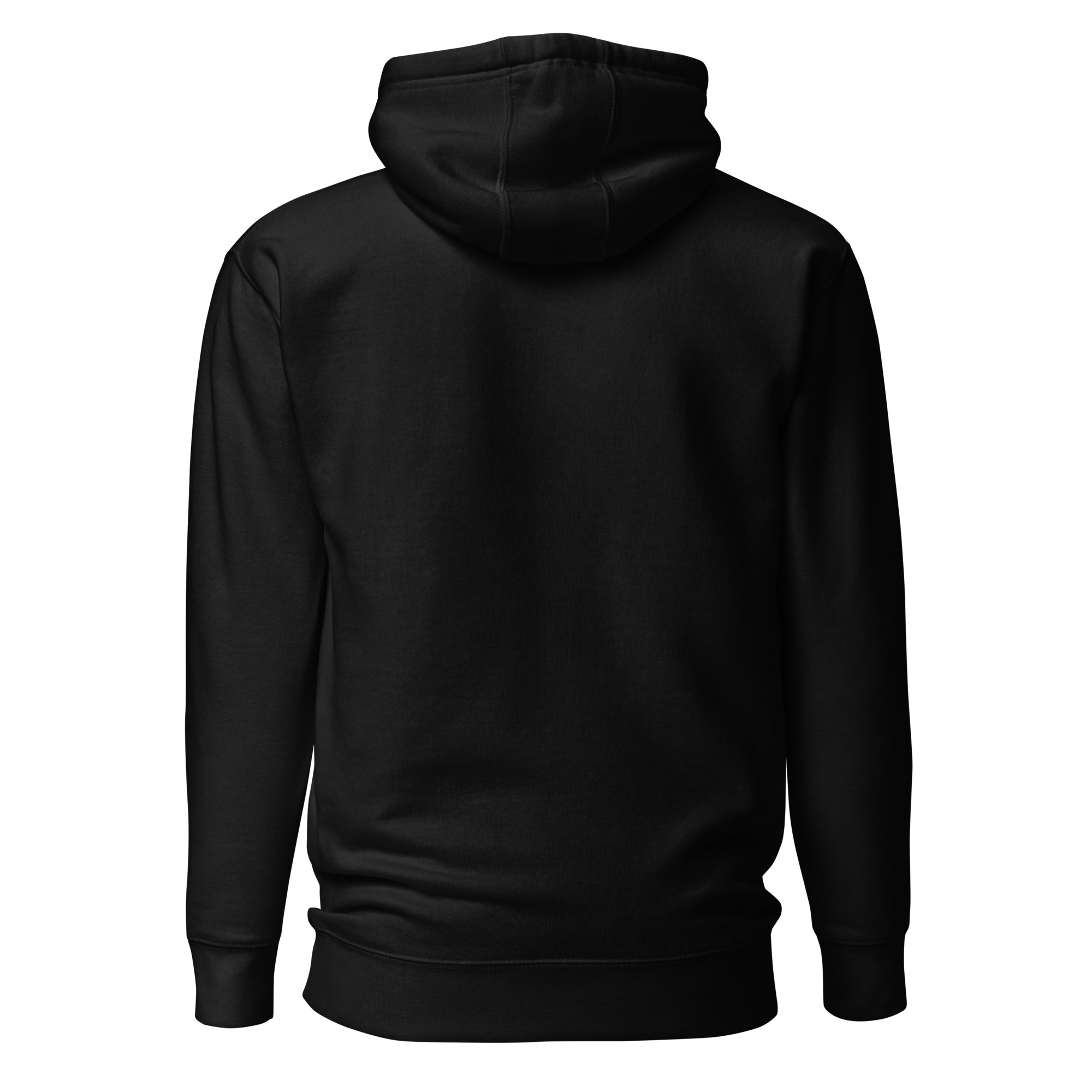 NLO Logo Unisex Hoodie - Image 5